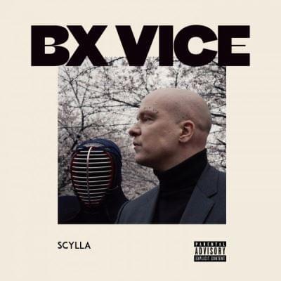 Cover image for BX Vice