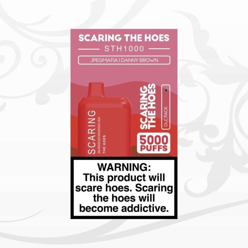 Cover image for SCARING THE HOES: DLC PACK
