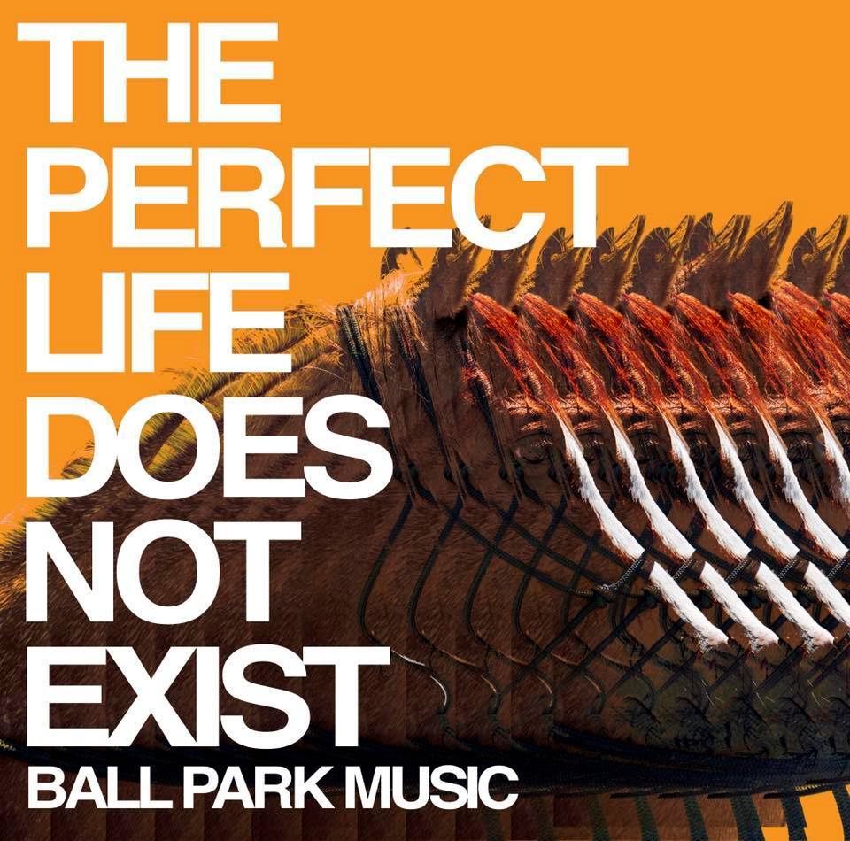 Album cover art for "The Perfect Life Does Not Exist" by ​triple j