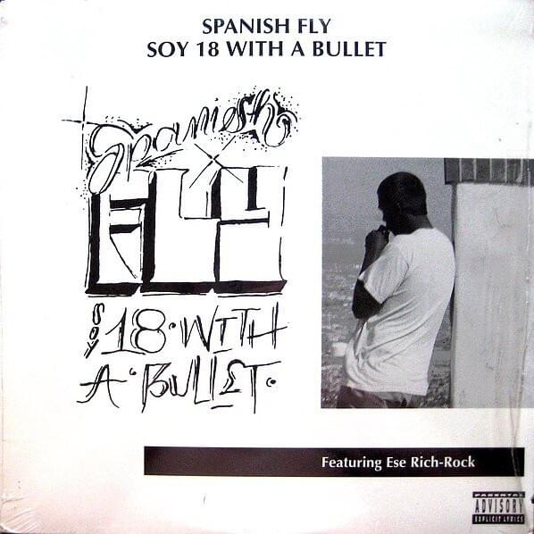Cover image for Soy 18 With A Bullet