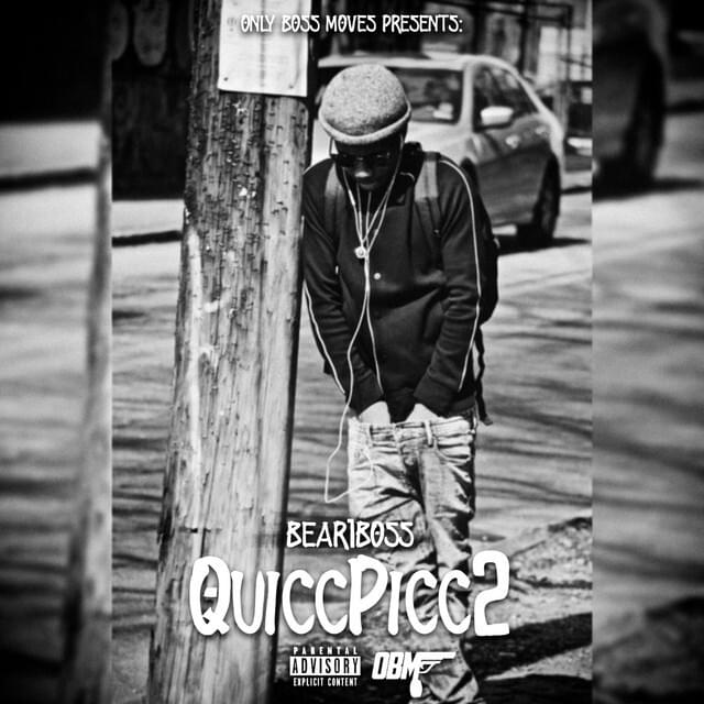 Cover image for Quicc Picc 2