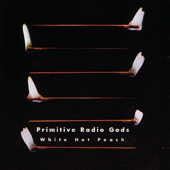 First Alien Photo by Primitive Radio Gods