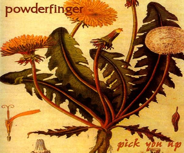 Album cover art for "Pick You Up" by Powderfinger