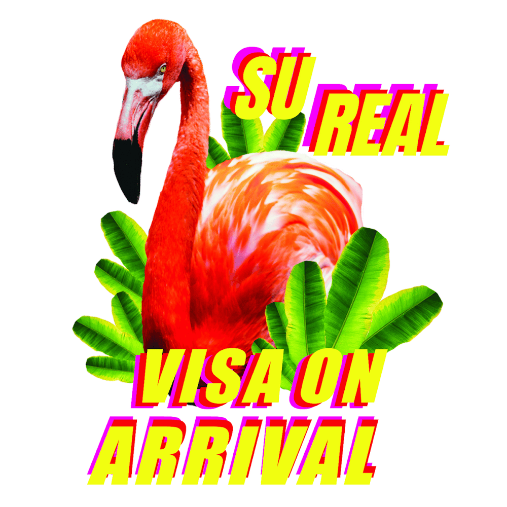 Cover image for Visa on Arrival