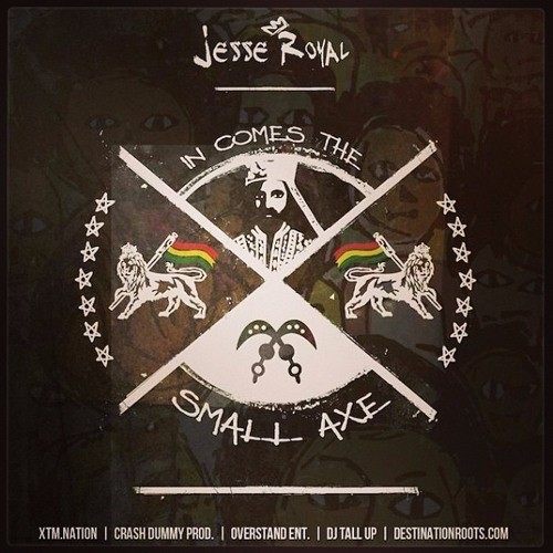 Cover image for In Comes The Small Axe