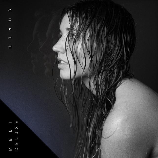 Cover image for Melt (Deluxe)