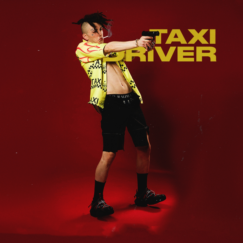 Cover image for Taxi Driver