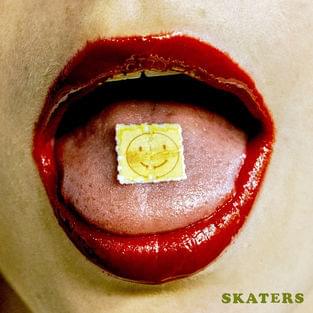 Album cover art for "Rock and Roll Bye Bye" by Skaters