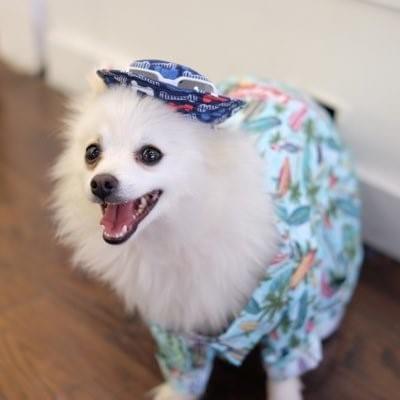 Cover image for Lil Hank