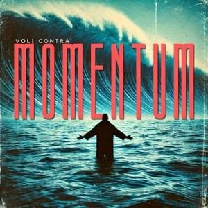 Cover image for Momentum