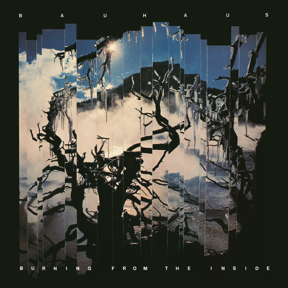 Album cover art for "Kingdom’s Coming" by Bauhaus
