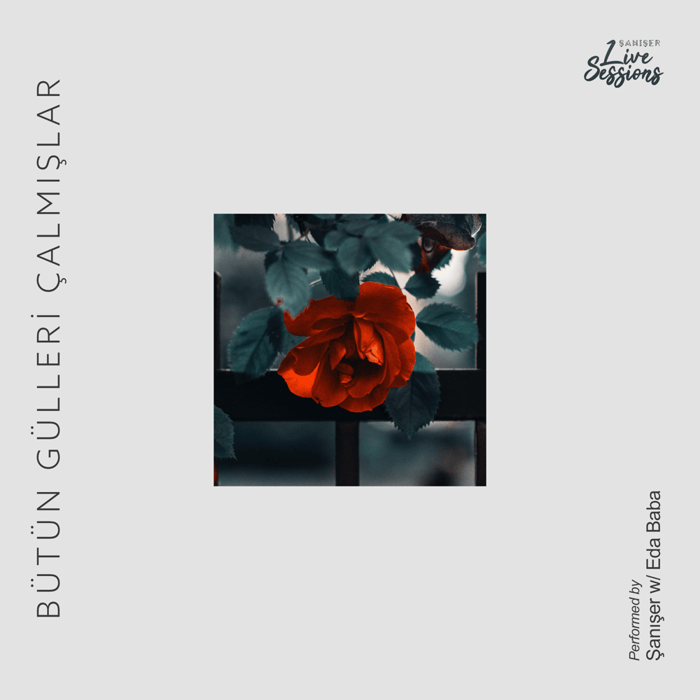 Album cover art for "Bütün Gülleri Çalmışlar (Live)" by Şanışer & Eda Baba