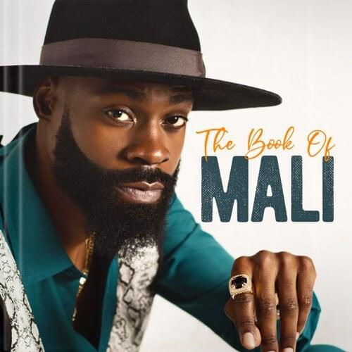 Album cover art for "Cry" by Mali Music