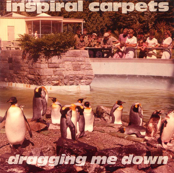 Album cover art for "Dragging Me Down" by Inspiral Carpets