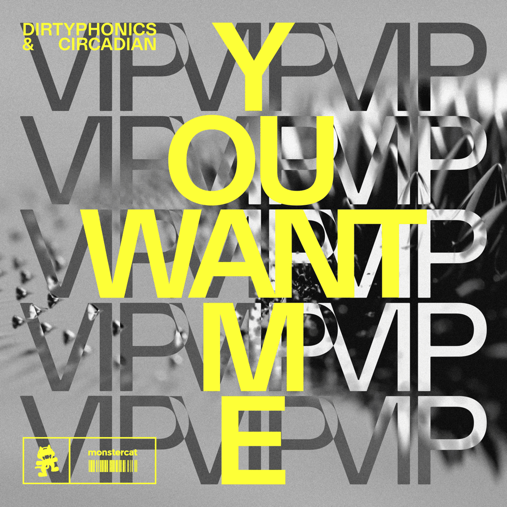 Cover image for You Want Me (VIP) A/B