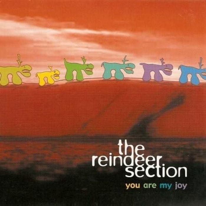 You Are My Joy by The Reindeer Section