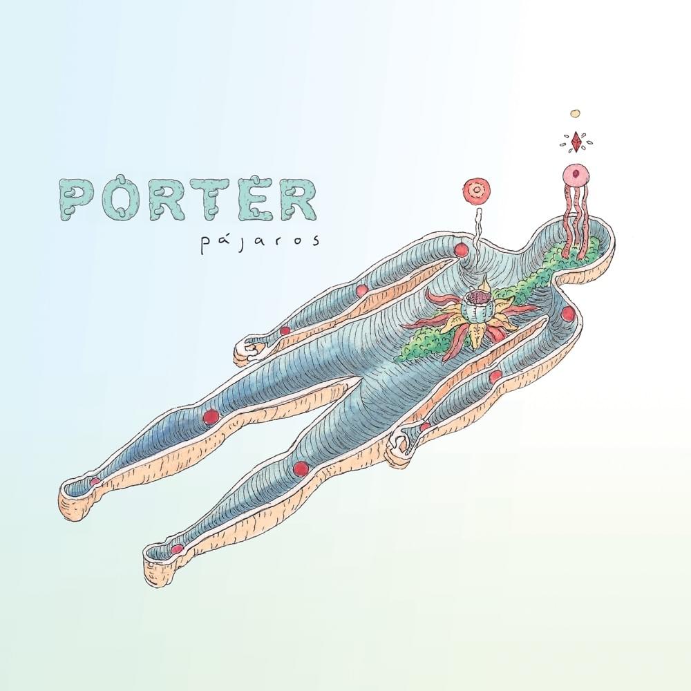 Pájaros by Porter