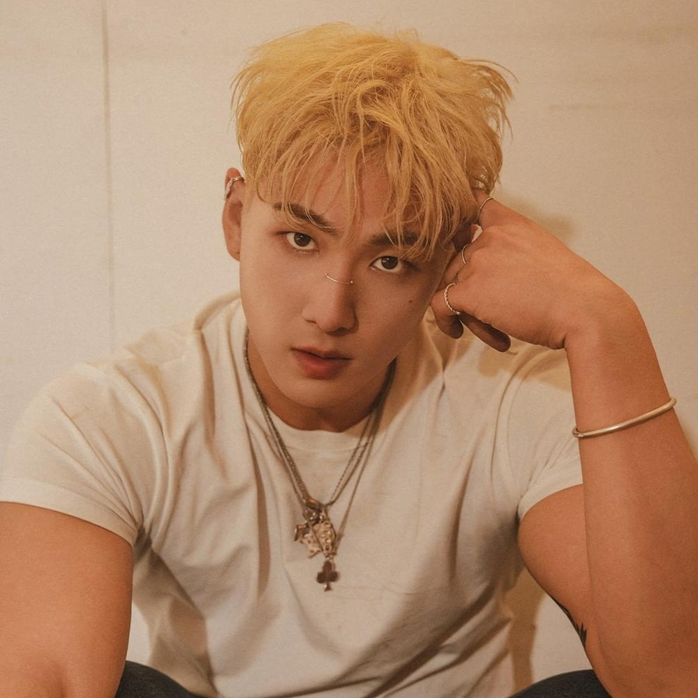 Cover image for BAEKHO