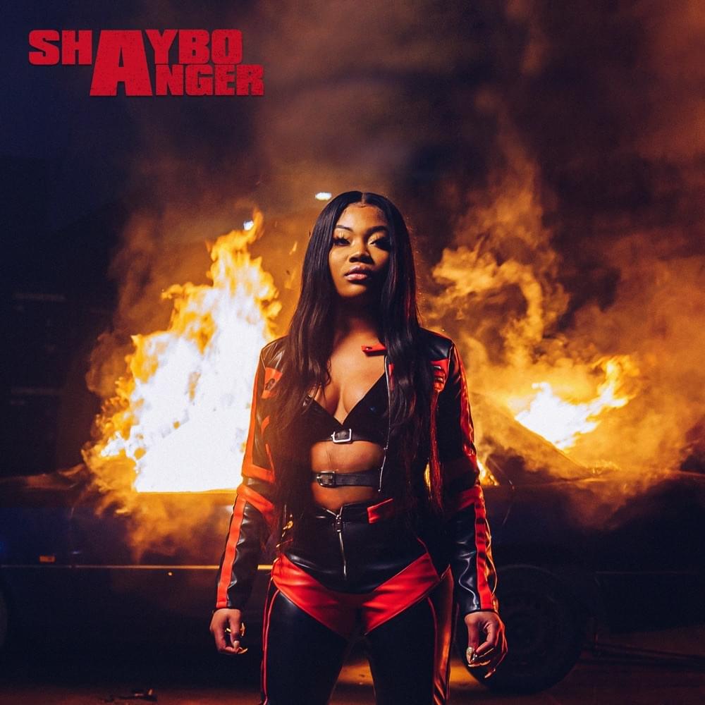 Album cover art for "Anger" by Shaybo