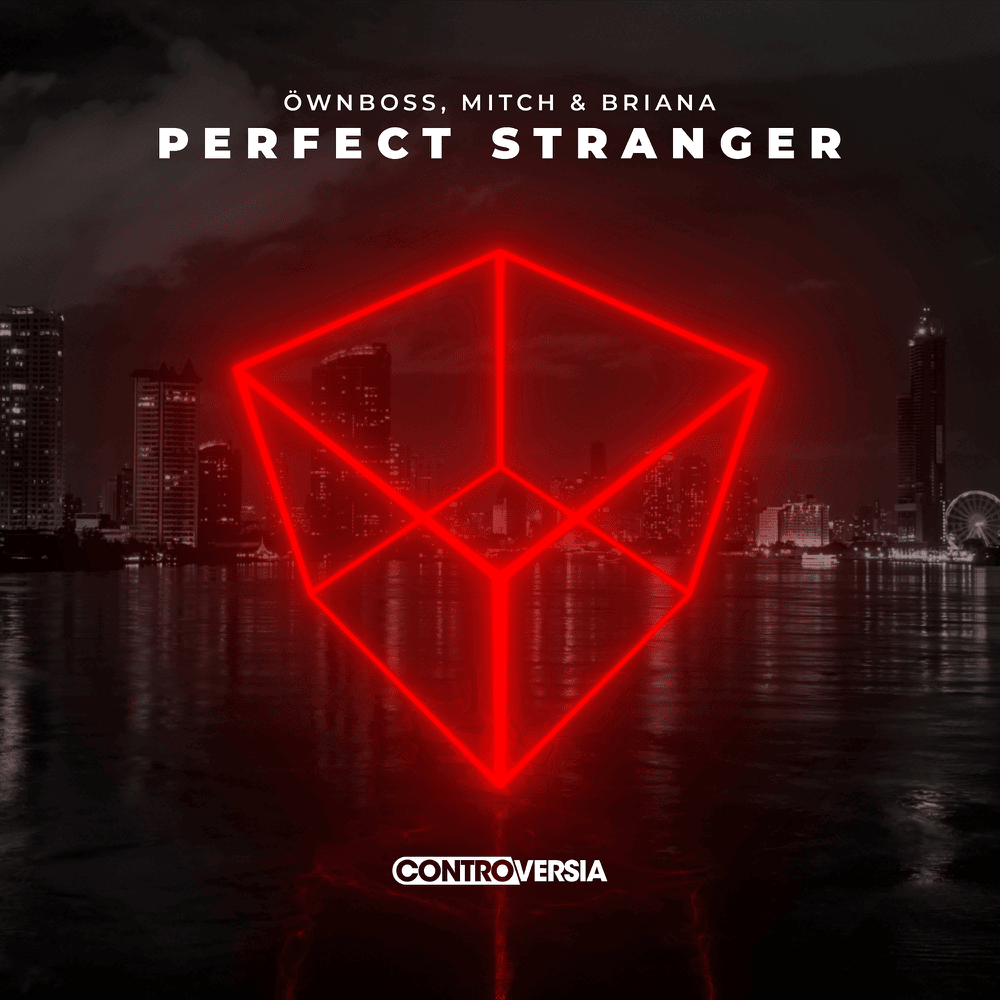 Album cover art for "Perfect Stranger" by Öwnboss