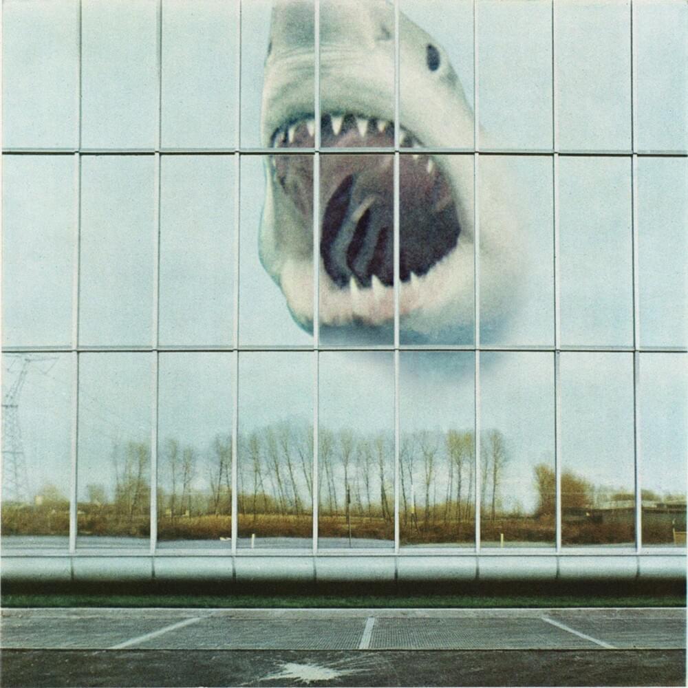 The Space Of Your Mind by Black Mountain