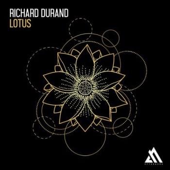 Lotus by Richard Durand