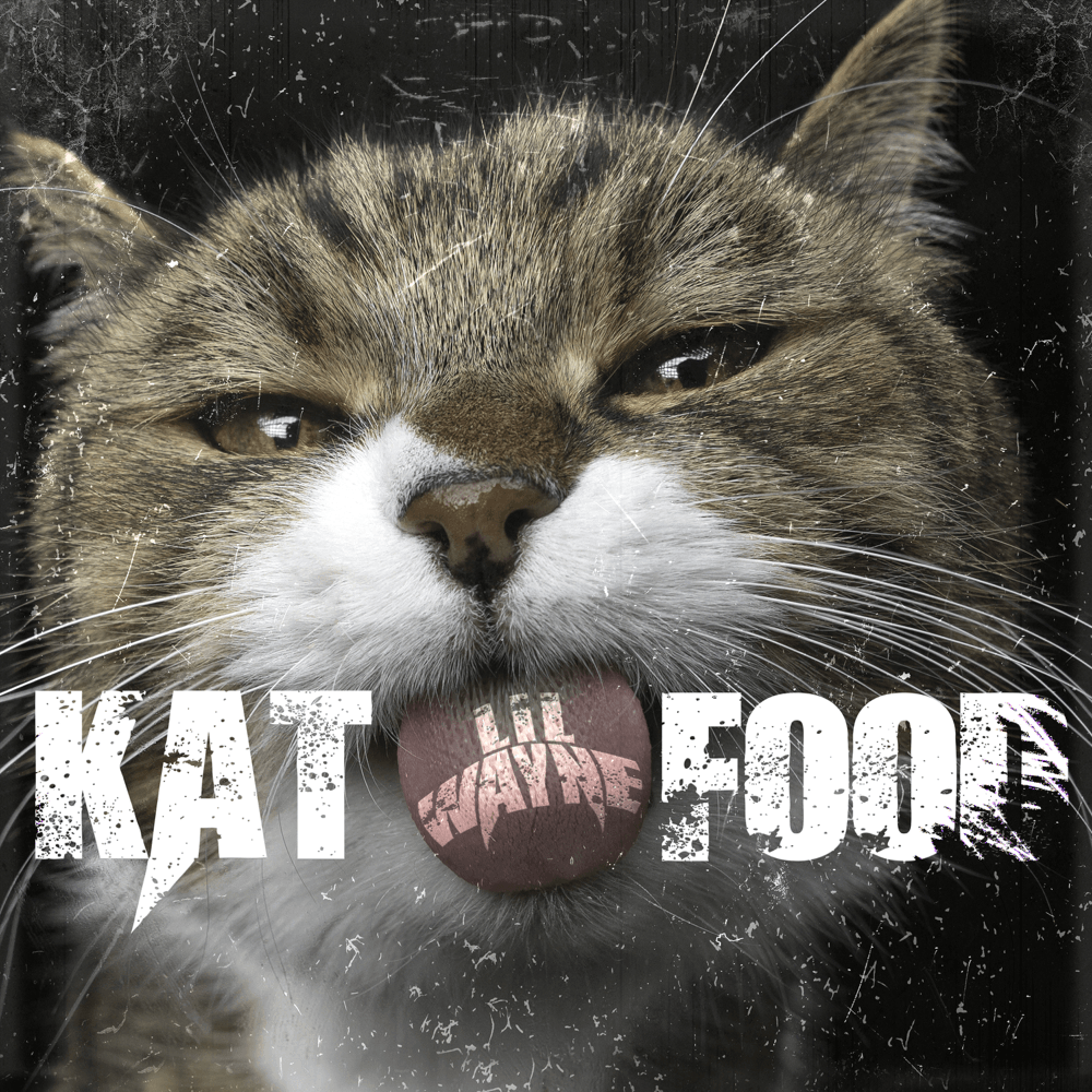 Album cover art for "Kat Food" by Lil Wayne