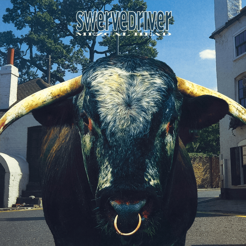 The Hitcher by Swervedriver