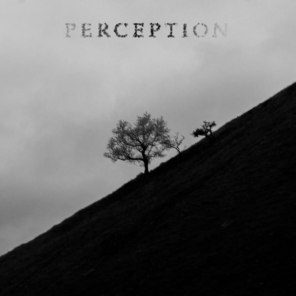 Cover image for Perception