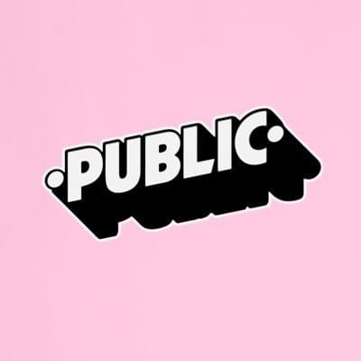 Cover image for PUBLIC