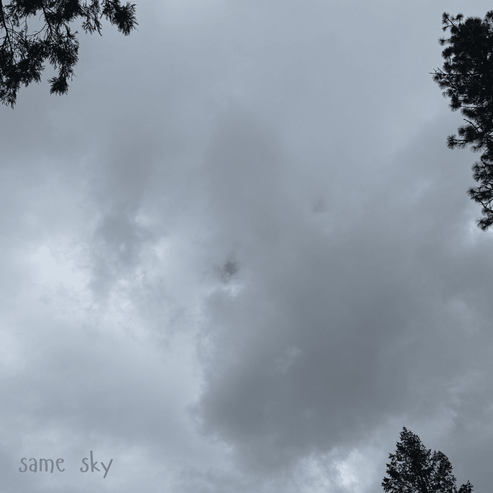 Album cover art for "Same Sky" by Gungor & Astyn Turr