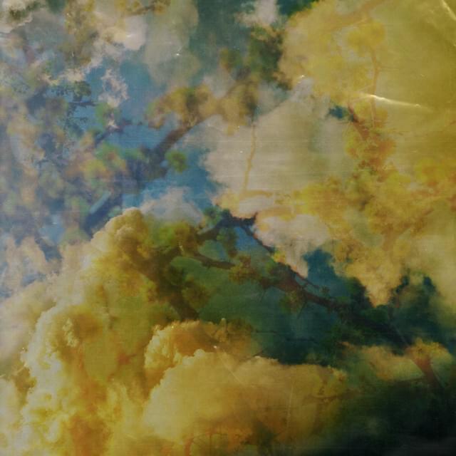 Album cover art for "Mimosa" by Tymek