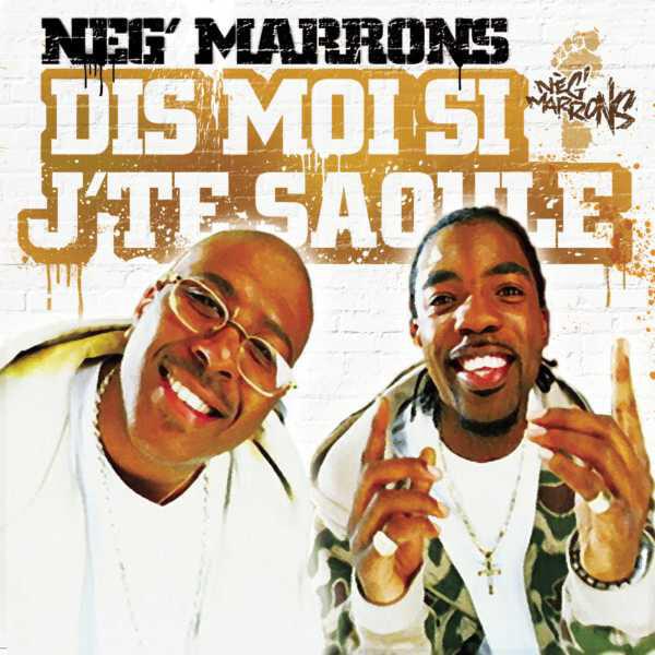 Dis moi si j’te saoule by Neg’ Marrons
