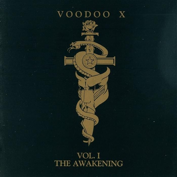 Into the Night by Voodoo X