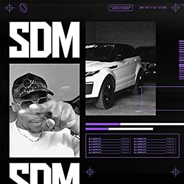 Album cover art for "À l’affût" by SDM