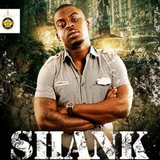 Salute (Remix) by Shank