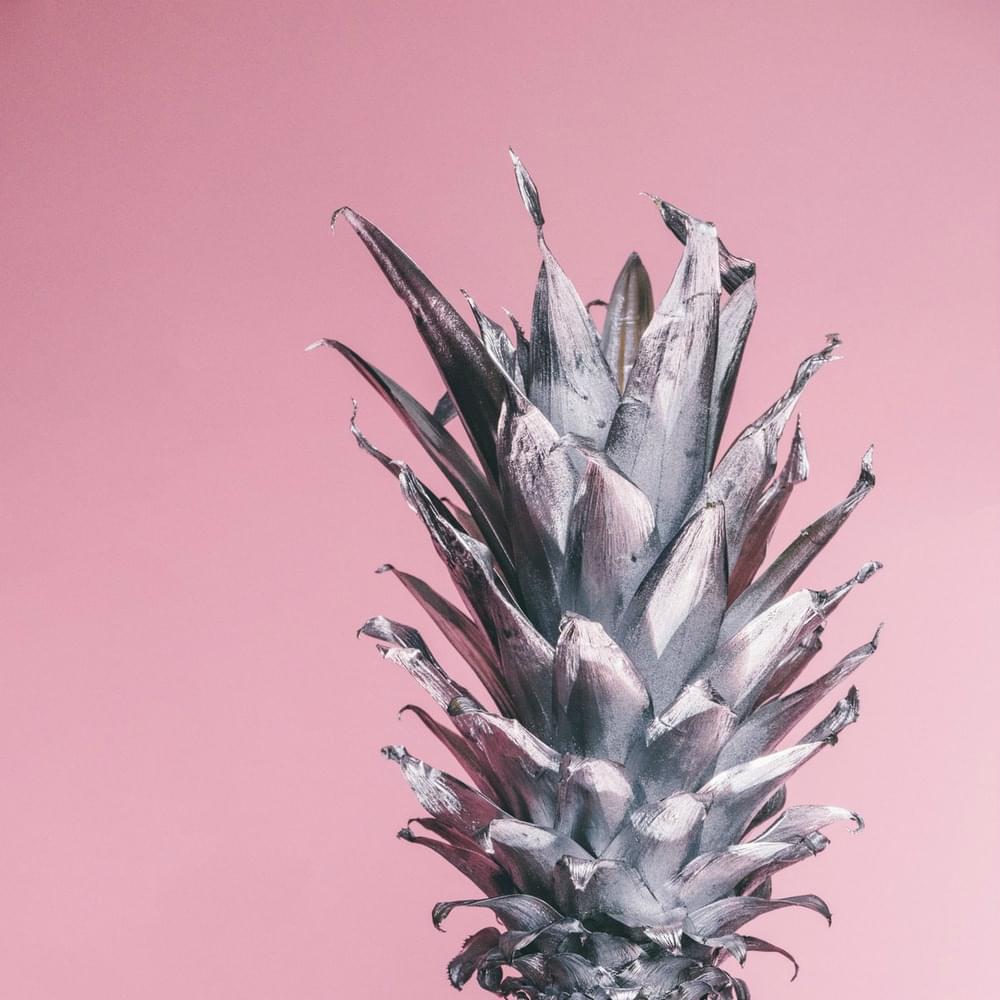 Cover image for Silver