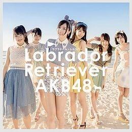 Cover image for Labrador Retriever (Type K)