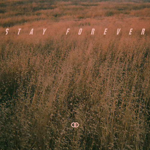 Album cover art for "Stay Forever" by Ookay