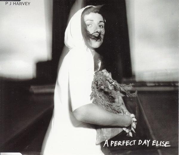 Album cover art for "The Bay" by PJ Harvey