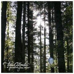 Album cover art for "I Cave In" by Twin Atlantic