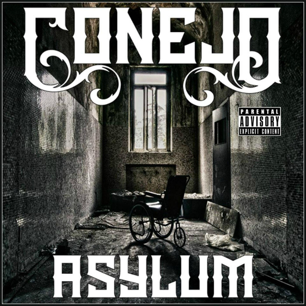 Cover image for Asylum