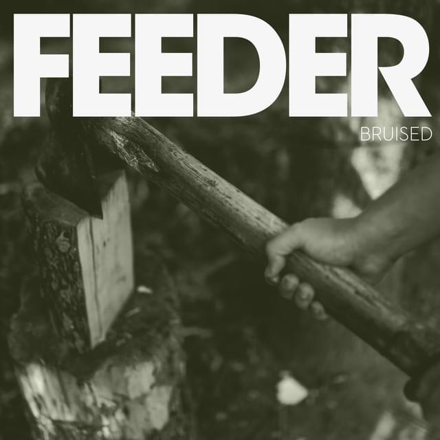 Album cover art for "Bruised" by Feeder