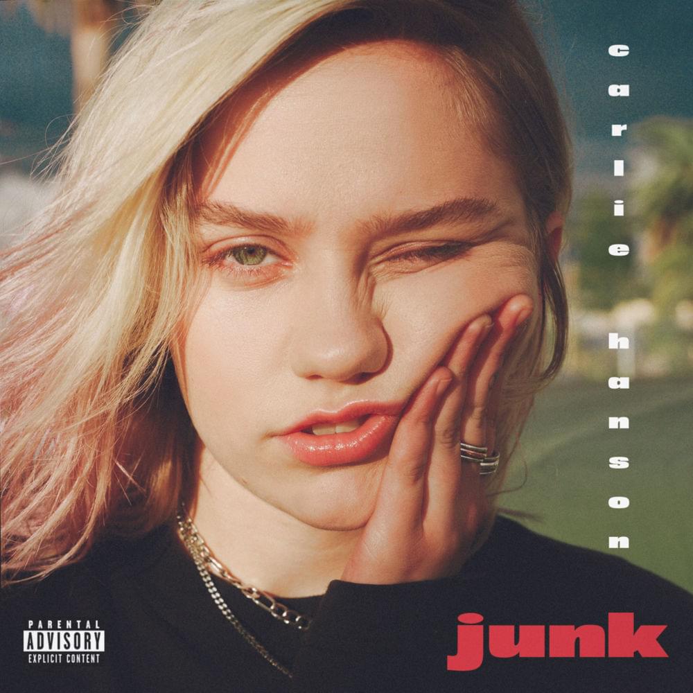 Cover image for Junk