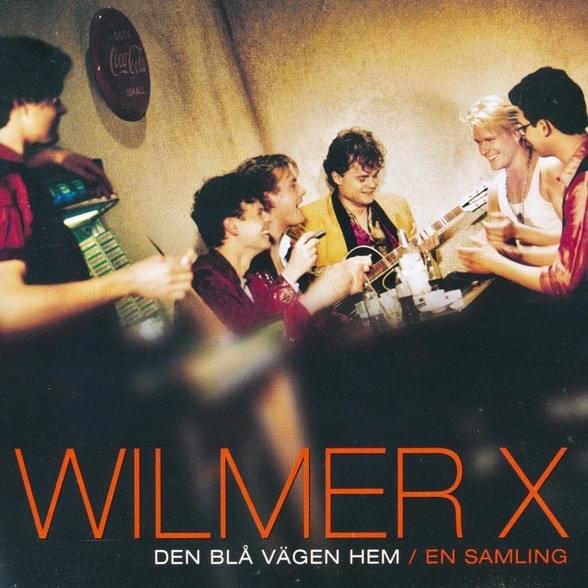 Cover image for Den blå vägen hem