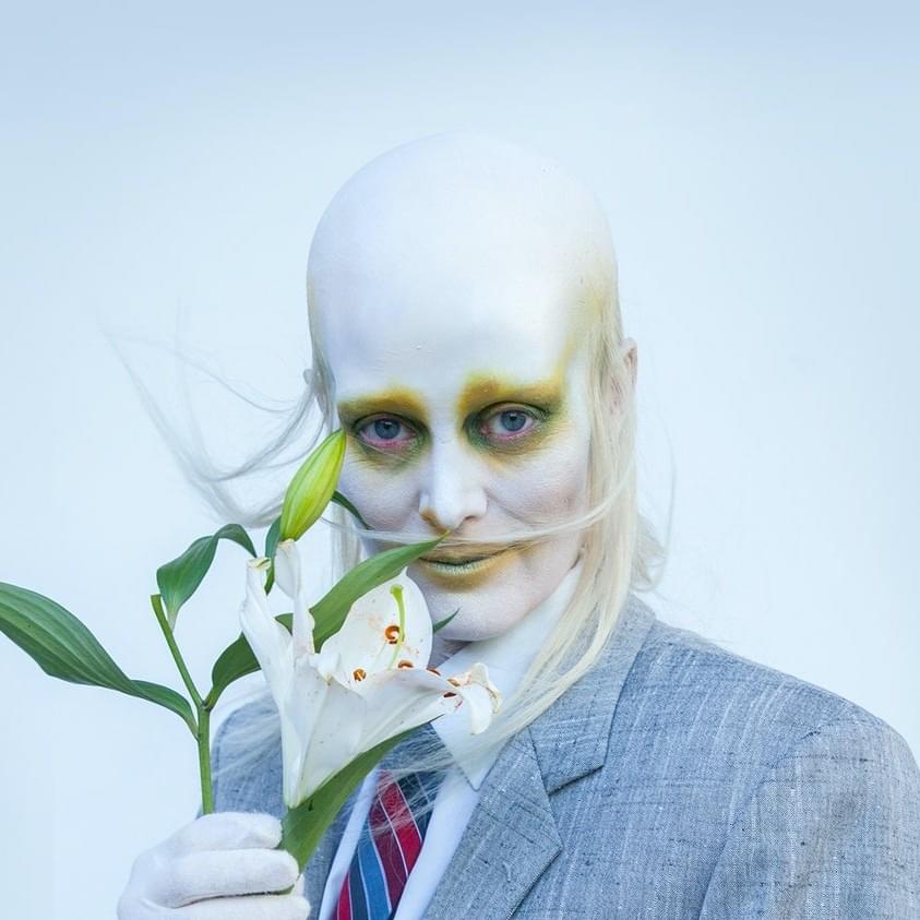 Cover image for Fever Ray