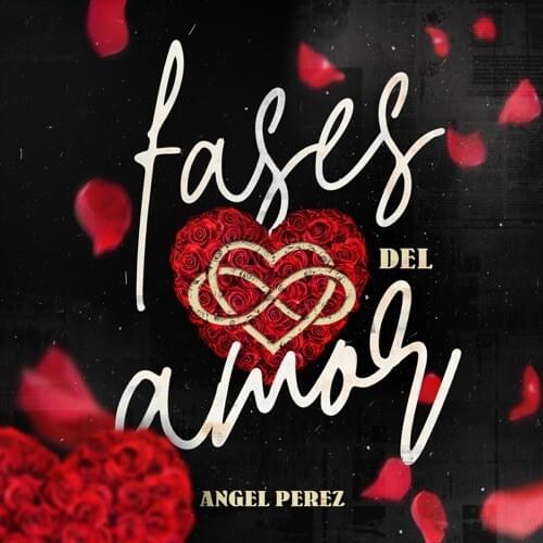 Cover image for Fases Del Amor