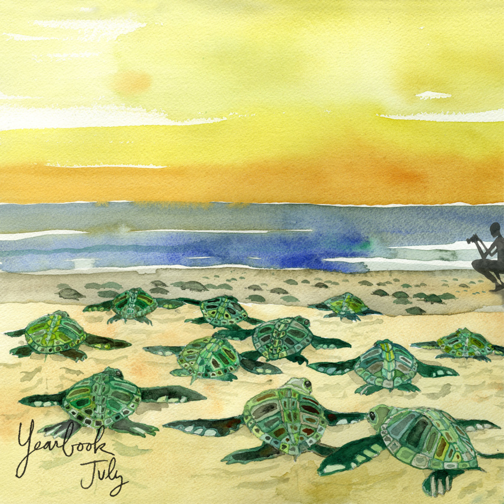 Album cover art for "Hit or Miss" by Sleeping At Last