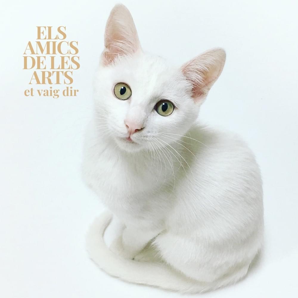 Et Vaig Dir by Els Amics De Les Arts