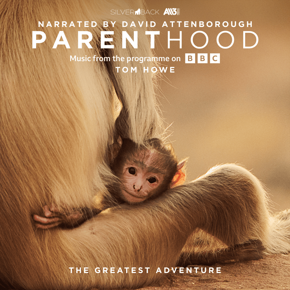 Cover image for Parenthood: The Greatest Adventure (Music From The Programme On BBC)